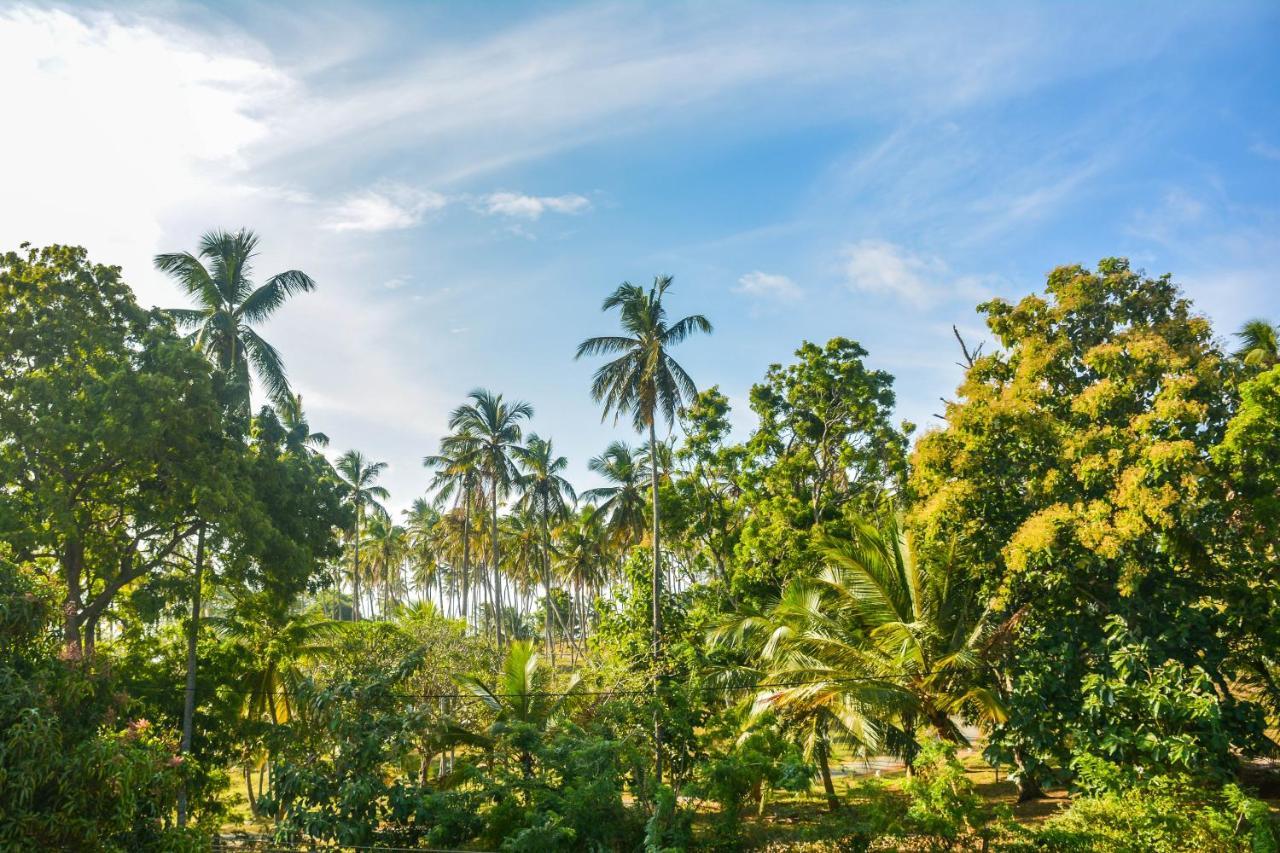 Janu Homestay Tangalle Kültér fotó